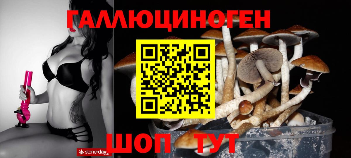 Жигулёвск  Псилоцибиновые грибы Psilocybine cubensis  Вход с VPN 