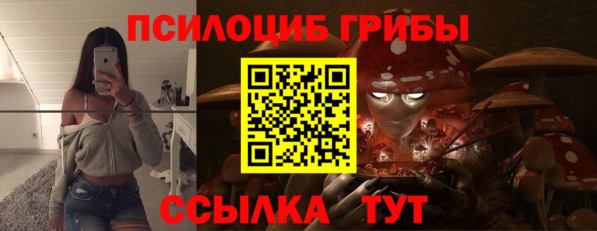 Псилоцибиновые грибы Cubensis Жигулёвск